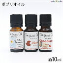 ポプリオイル 約10ml/アロマワックスサシェ/ボタニカルサシェに