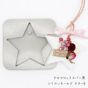 アロマワックスサシェ用 シリコンモールド スターB アロマストーン ボタニカルキャンドル クリスマス