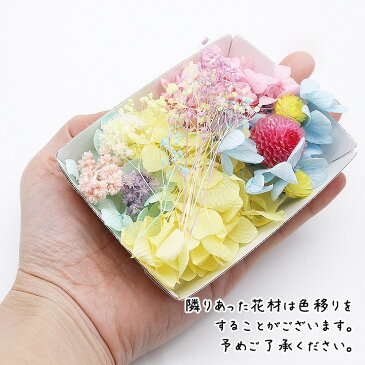 パステルスイート花材セット 1ケース /ハーバリウムやアロマワックスバー ボタニカルサシェにも 花材 プリザーブドフラワー あじさい パステルカラー ピンク イエロー パープル ホワイト 千日紅 センニチコウ クリスパム かすみ草 カスミソウ イモーテル