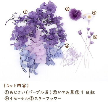 スミレカラー花材セット /ハーバリウムやアロマワックスバー ボタニカルサシェにも プリザーブドフラワー手芸クラフト ハーバリウム花材 アロマワックスバー プリザーブドフラワー アジサイ スターフラワー イモーテル