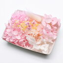 ハーバリウム花材 スプリングピンク花材セット 1ケース プリザーブドフラワー&ドライフラワーミックス アジサイ ラグラス カスミ草