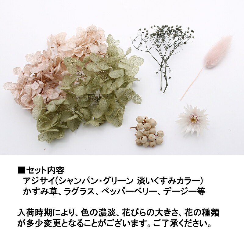 �ϡ��Хꥦ��ֺ� �ʥ����륬���ǥ�ֺॻ�å� 1������ �ץꥶ���֥ɥե� �ɥ饤�ե�