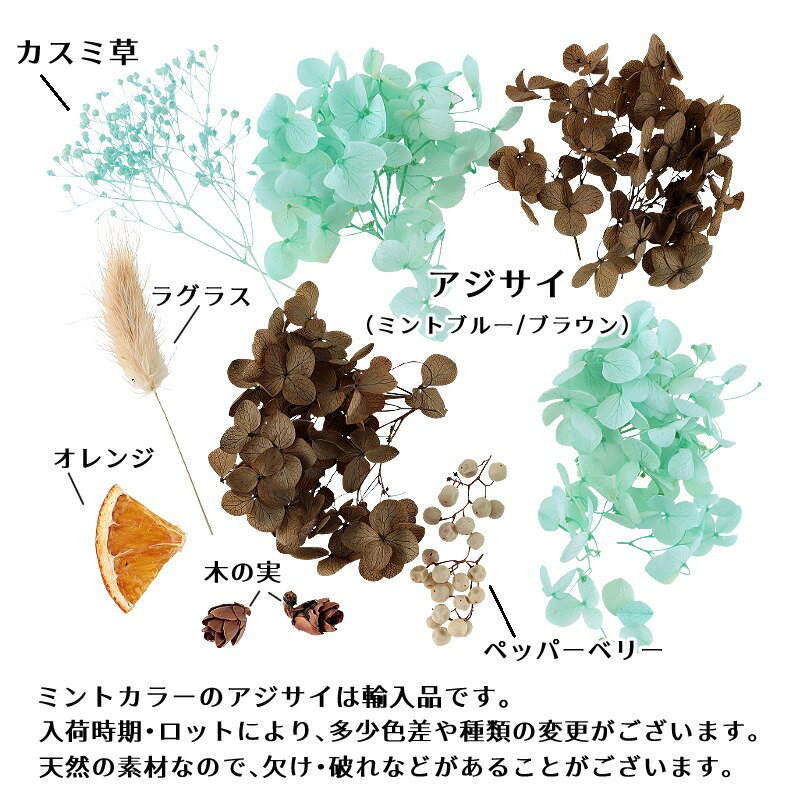 �ϡ��Хꥦ��ֺ� ���祳�ߥ�ȥѥե��ֺॻ�å� 1������ �ץꥶ���֥ɥե� �ɥ饤�ե�