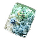 ハーバリウム花材 シーブルーソーダ花材セット 1ケース プリザーブドフラワー ドライフラワー