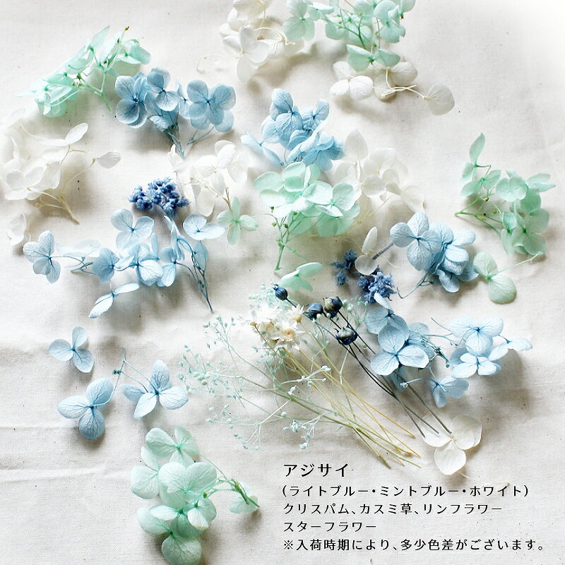 �ϡ��Хꥦ��ֺ� �����֥롼�������ֺॻ�å� 1������ �ץꥶ���֥ɥե� �ɥ饤�ե�