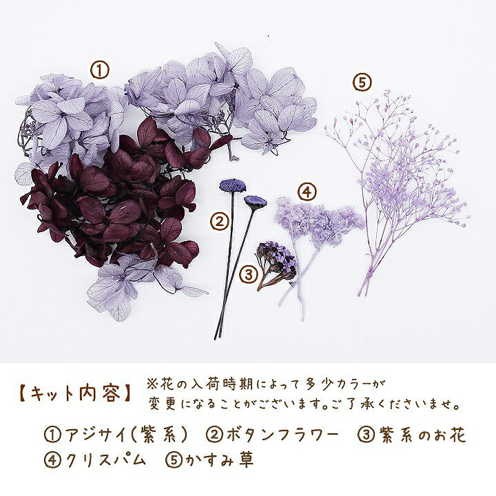 �ϡ��Хꥦ��ֺ� ���᥸���ȥѡ��ץ�ֺॻ�å� 1������ �ץꥶ���֥ɥե� �ɥ饤�ե�