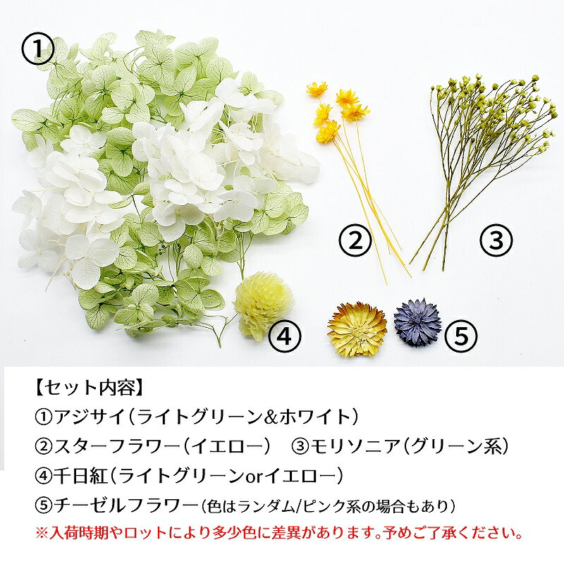 �ϡ��Хꥦ��ֺ� ���åץ륰�꡼��ֺॻ�å� 1������ �ץꥶ���֥ɥե� �ɥ饤�ե�