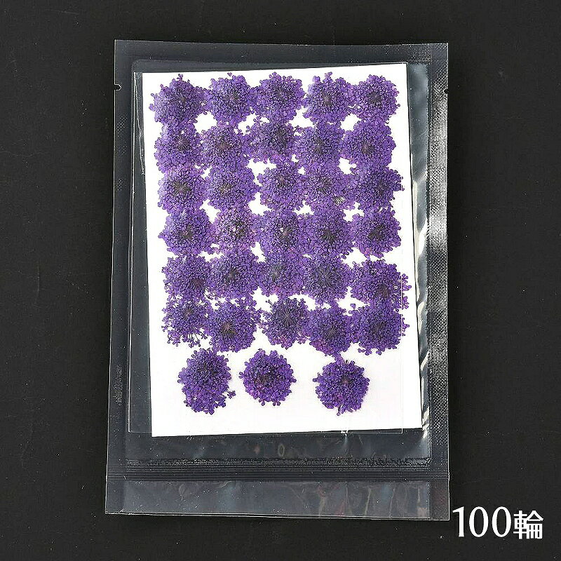 乐天商城 - 押し花 レジン用 ドライフラワー レースフラワー 1シート 約100輪[パープル]