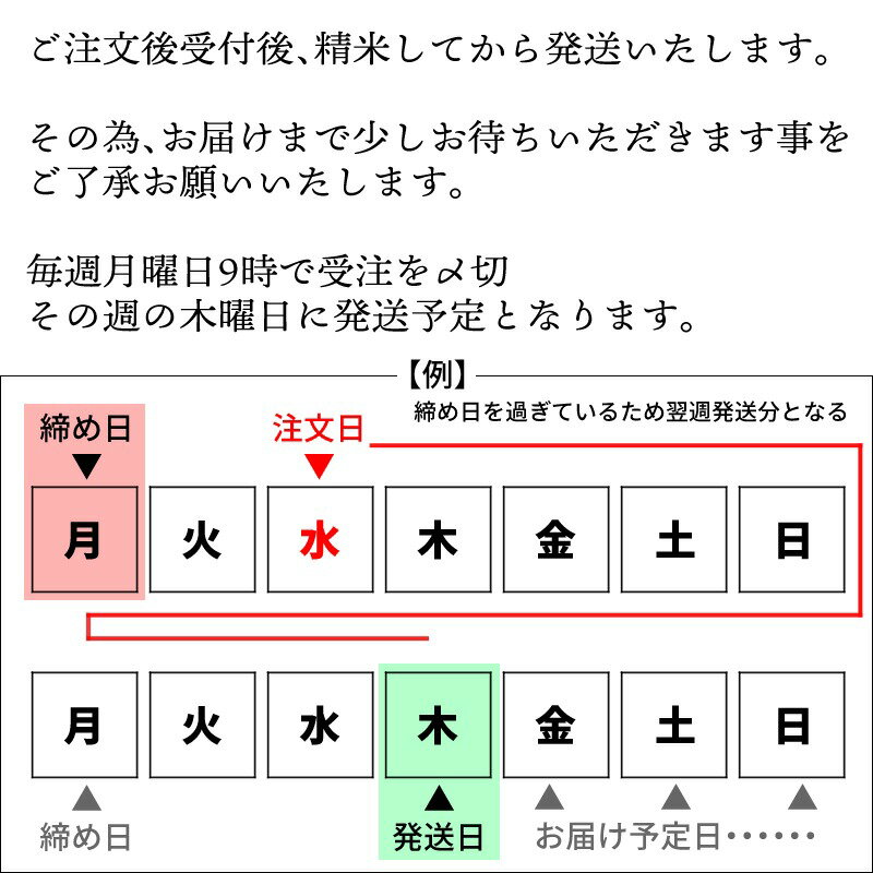 北海道産五色豆玄米ご飯 女神のほほえみ 2合 300g 1パック 国産ブランド米 愛知県産ご当地米 炊き込みご飯[宅配便] 2