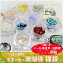 【メール便送料無料】レジン封入材料 南国の海の珊瑚礁福袋 レジン セット/レジン パーツ/レジン 封入