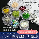 【メール便送料無料】レジン封入材料 うっかり店長の訳アリ福袋 レジン セット/レジン パーツ/レジン 封入