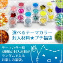 選べるテーマカラー封入材料プチ福袋 ラメ ホログラム 穴なしパール ドライフラワー レジン セット 封入 材料/レジン パーツ/レジン 封入
