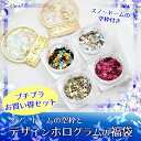 スノードームの空枠とデザインホログラムの福袋 レジン セット 封入 材料/レジン パーツ/レジン 枠