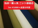 【 5m価格 】♪5mカットを1つお買い上げ毎に接着芯1mプレゼント中です♪ 超定番!! 少し薄手 ニット芯 接着芯☆ 選べるカラー ☆≪ 日本製 国産 生地 服地 布地 片面接着芯 ≫【 商品毎別品番商品 】【 5mカットで1,000円 】【 宅配便のみ 】ru-761 580671