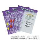 【DAITOUBUKU/ダイトウブク】フカセウキゴム オレンジ ウキゴム フカセ釣り 釣小物 002370