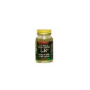 【ACCEL/アクセル】ウレタンコートLR+ 100ml ノントルエン UV防止剤配合 コーティング剤 メイキング用品 040310