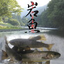 【産地直送】生きたまま発送！川魚の女王岩魚（イワナ/いわな）鮮魚《養殖》塩焼きに最適【おためしの10匹】　送料無料