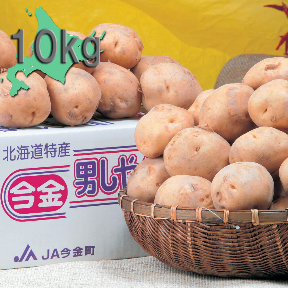 【お取り寄せグルメ】今金産 男爵いも（10kg） 0000-034135 北海道産直品 じゃが芋 じゃがいも ジャガイモ
