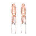 【LUMICA/ルミカ】XTRADA プニラバ 交換用イカスーツ(S)2匹入り UV-オレンジ C00160 (116550)