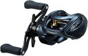 DAIWA/STEEZ AII TW 1000XH (309748) ٥ȥ꡼