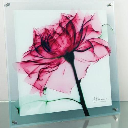 アート ポスター インテリア 壁掛け 壁絵 アートパネル アートボード 絵画 アート 絵 ウォールデコレーション 壁飾り ディスプレイ アートポスター