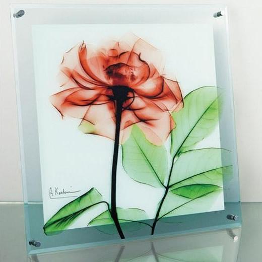 アート ポスター インテリア 壁掛け 壁絵 アートパネル アートボード 絵画 アート 絵 ウォールデコレーション 壁飾り ディスプレイ アートポスター