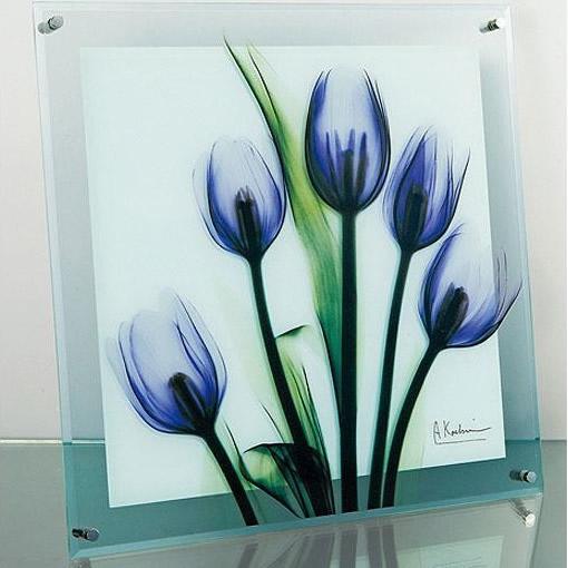 アート ポスター インテリア 壁掛け 壁絵 アートパネル アートボード 絵画 アート 絵 ウォールデコレーション 壁飾り ディスプレイ アートポスター