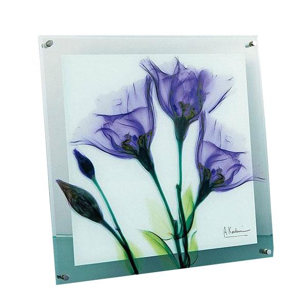 アート ポスター インテリア 壁掛け 壁絵 アートパネル アートボード 絵画 アート 絵 ウォールデコレーション 壁飾り ディスプレイ アートポスター