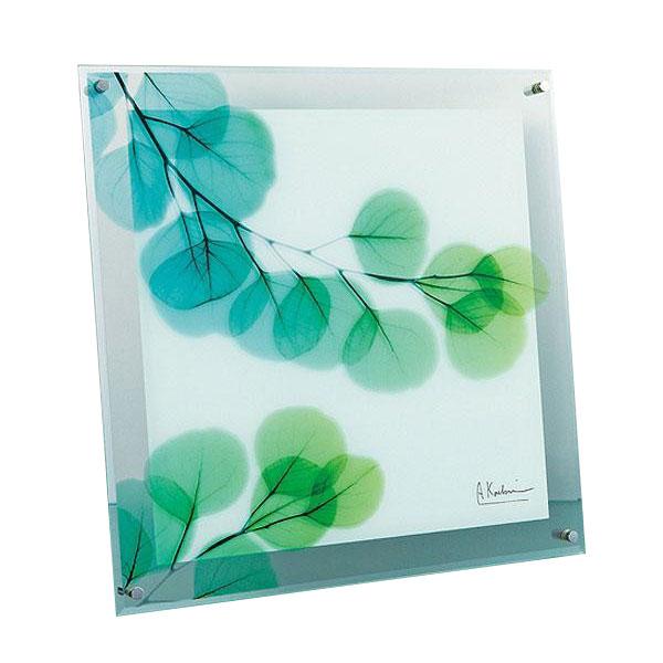 アート ポスター インテリア 壁掛け 壁絵 アートパネル アートボード 絵画 アート 絵 ウォールデコレーション 壁飾り ディスプレイ アートポスター