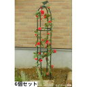 植物支柱 オベリスク 6個 完成品 スチール アイアン パイプ 日本製