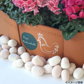 󥬥֥å     ¤  ե ǥ ¤ diy ץ󥿡 ٥ ֤ ¤٤  ƥꥢ   ...