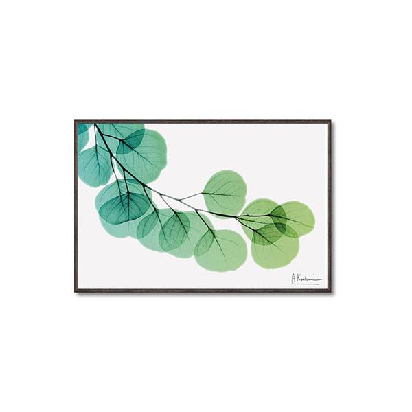 インテリア 壁掛け 壁絵 アートパネル アートボード 絵画 アート 絵 ウォールデコレーション 壁飾り ディスプレイ アートポスター