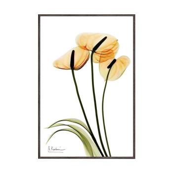 インテリア 壁掛け 壁絵 アートパネル アートボード 絵画 アート 絵 ウォールデコレーション 壁飾り ディスプレイ アートポスター