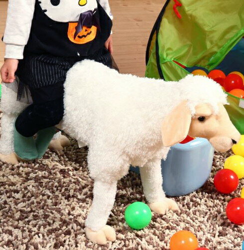 キッズチェアー 椅子 チェア チェアー イス いす アニマル 動物