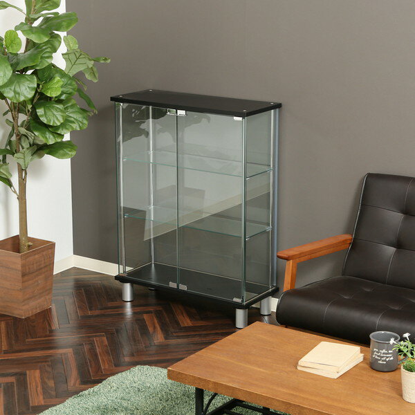 コレクションケース キャビネット ガラス ショーケース アンティーク 薄型 フィギュア ディスプレイ 棚 ディスプレイケース コレクションラック 北欧 レトロ ...