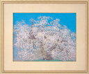 中島千波 千歳櫻 ちとせざくら 桜 樹齢700年を数える名樹 技 法:岩絵具方式複製画 限 定:1000部 全国送料無料