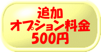 追加オプション料金（箱・サイズ・彫刻箇所追加等）