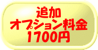 乐天商城 - 追加オプション料金（箱・サイズ・彫刻箇所追加等）