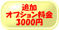 樂天商城 - 追加オプション料金（箱・サイズ・彫刻箇所追加等）