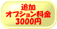 追加オプション料金（箱・サイズ・彫刻箇所追加等）