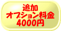 乐天商城 - 追加オプション料金（箱・サイズ・彫刻箇所追加等）