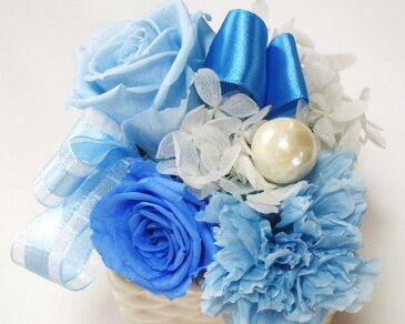 お供え 花 ペット ペット用仏具 プリザーブドフラワー ギフト お供え プリザ 仏具 花 あす楽 送料無料 ペットのお供え ペット用 仏花 お仏前 一周忌 命日 法事 法要 お彼岸 花 お悔やみ お供え花 供花 即日発送 クリアケース付