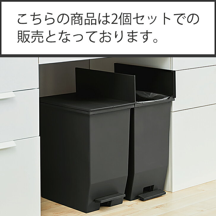 ゴミ箱 2個セット ダストボックス トラッシュボックス スライドペール 45L 45リットル SOLOW ソロウ 大容量 棚下 カウンター下 抗菌 防汚 スリムペダル ベランダ 屋内 屋外 インテリア DIY 園芸ツール 雑貨 白 ホワイト 黒 ブラック RSD-78BK/WH OTTD