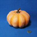 造果実 かぼちゃアジアン装飾品アジアン雑貨販売BCDSHOP