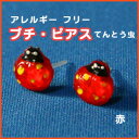 プチピアス★てんとう虫★