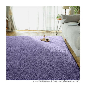 ȥ꡼ʥݥ5ܡ ॹ  ᥸ 130x190cm GSCD308261ס̵