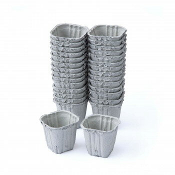 【エントリーで★全品ポイント5倍★】 土に還る園芸ポット　30個入【送料無料】