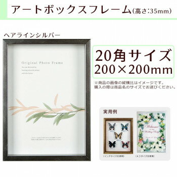 ＼今だけエントリーで全品ポイント10倍！／ A.P.J. BOXフレーム アートボックスフレーム(高さ:35mm) 20角サイズ(200×200mm) ヘアラインシルバー 0021768627【送料無料】
