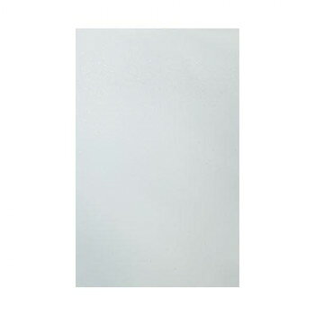 ＼今だけエントリーで全品ポイント10倍！／ 新料紙　ふじみ野　白地金銀砂子　中字　単色　半紙判　100枚 AG40-1【送料無料】