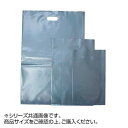 \今だけエントリーで全品ポイント5倍!/ PEバッグ 2 100枚 RA22【送料無料】
